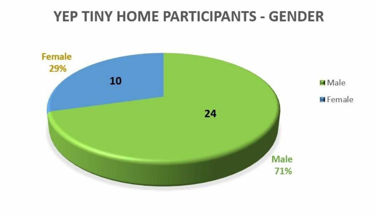 Pie chart representing YEP tiny home participants by gender