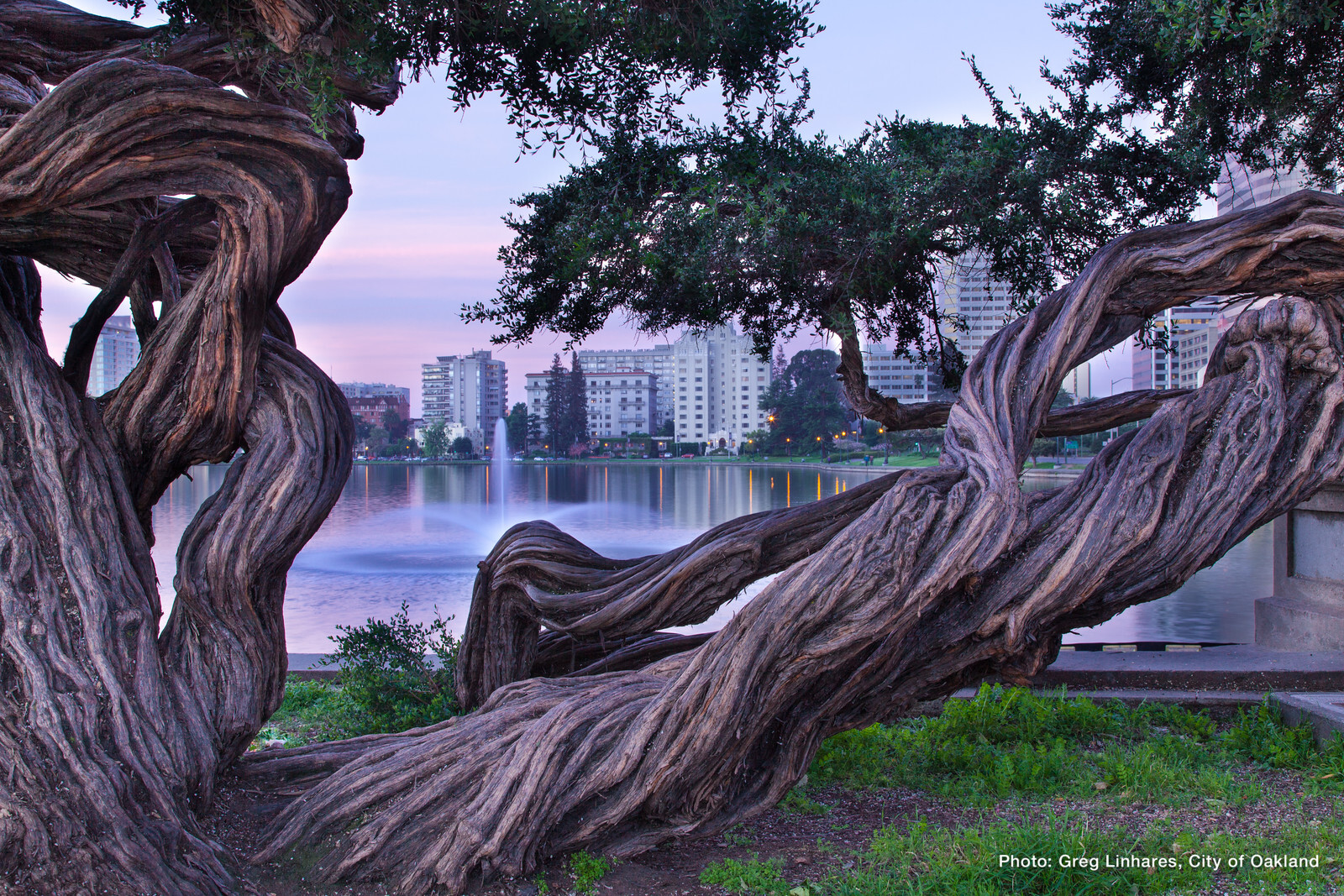 140417 6859 Adams Point Lake Merritt Sunrise X3