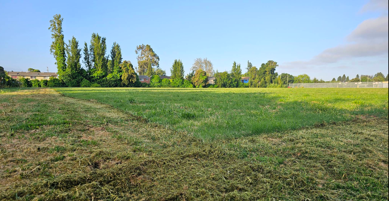 Sobrante Park Picture March 2025