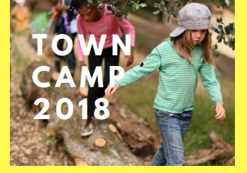 Town Camp 2018