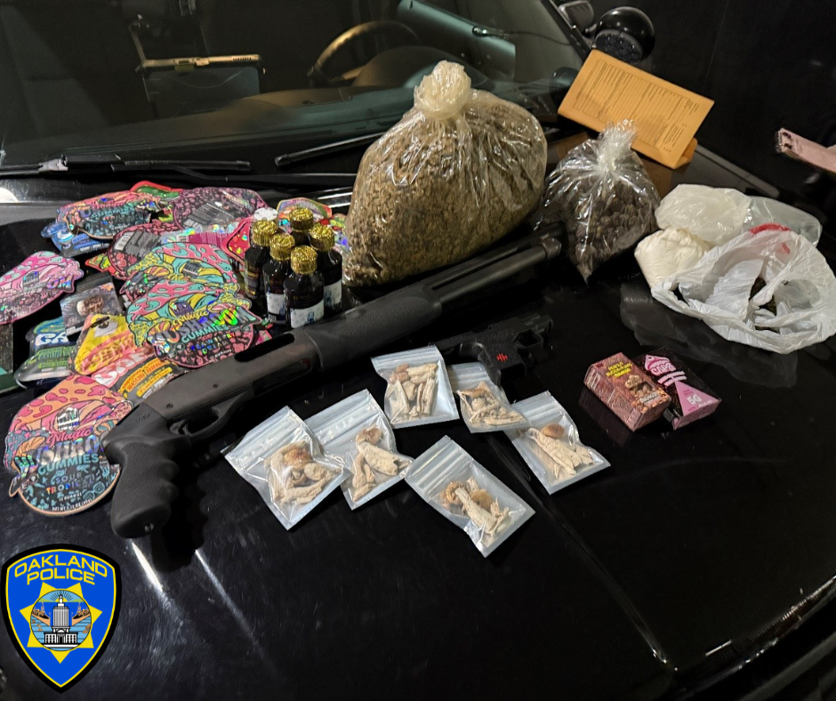 Seized items large quantities of prohibited-flavored tobacco products and a large amount of cannabis products. Various controlled substances, including Psilocybin magic mushrooms and khat. Two loaded registered firearms.