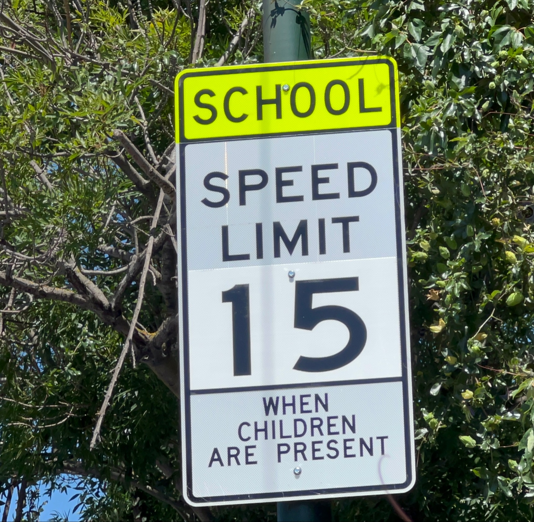 15 mph sign installed on Foothill Blvd outside Garfield Elementary School, June 2022