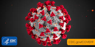 image of novel coronavirus and CDC logo